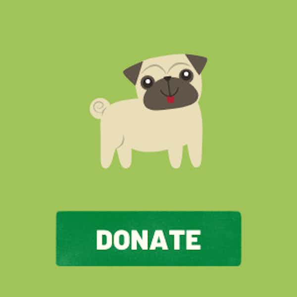 Donate to Paw Shelter